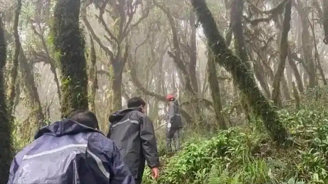 解放军在云南原始森林，发现一群男女，他们住草棚靠野果捕猎为生