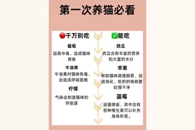 猫猫尿闭不要慌，在家也能治疗（已痊愈）图片