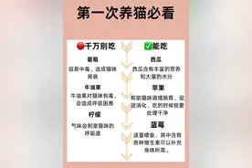 猫猫尿闭不要慌，在家也能治疗（已痊愈）图片
