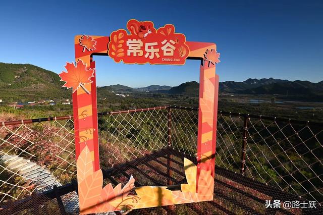 遵化娘娘庄南山常乐谷，红叶红果装满秋日惊喜