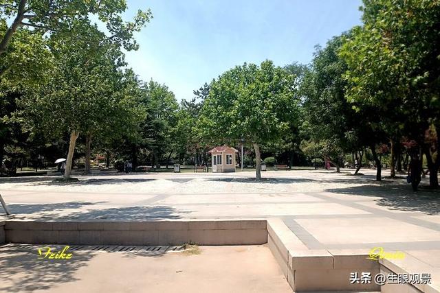 影记 | 青岛李沧文化公园掠影
