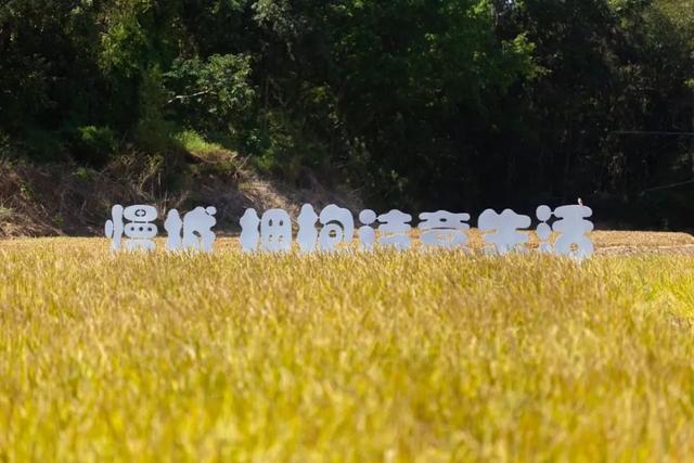最是橙黄橘绿时