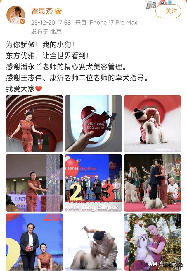 霍思燕穿旗袍携爱犬夺冠前凸后翘丰乳肥臀 难怪杜江对她生理性喜欢