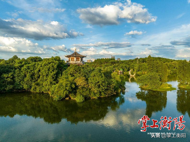 衡阳春日限定！收好这份踏青赏花打卡攻略~