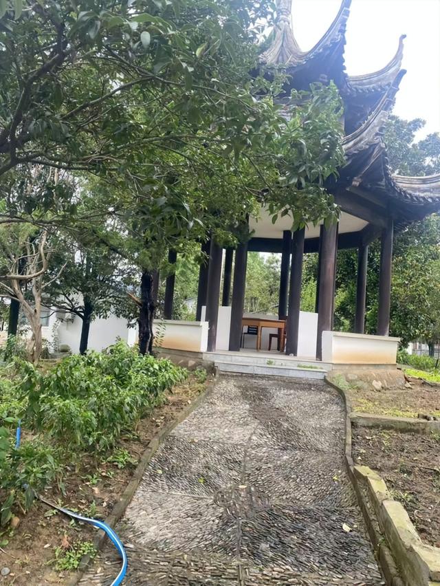 桃花庄园民宿，一场浸于山水与人文的深度栖居