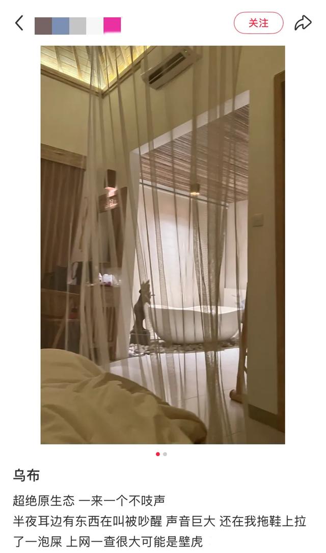 阻止我去巴厘岛旅游的唯一理由: