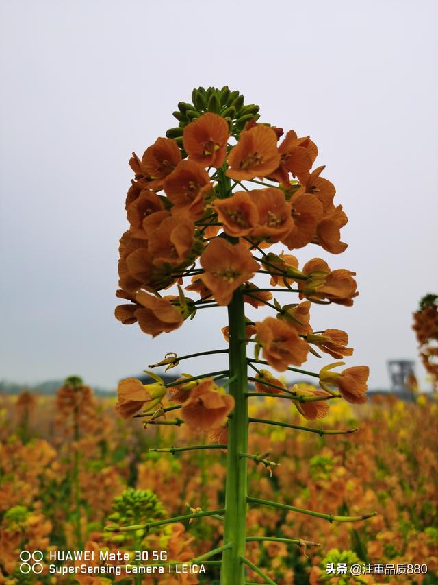 我的2025~实现了由自驾游为“自驾旅居”游的转变