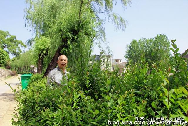 我的乐安流坑古村“寻古”之旅[八]（江西之旅第七十八篇）
