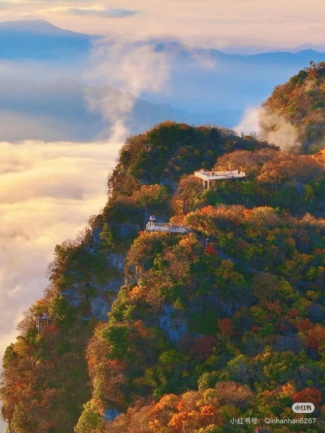 谁说秋日只有红？来龙头山，感受五彩鲜活的秋~