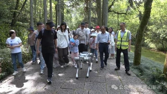 成绩亮眼！武夷山上半年接待旅游总人数1687万人次 比增14%