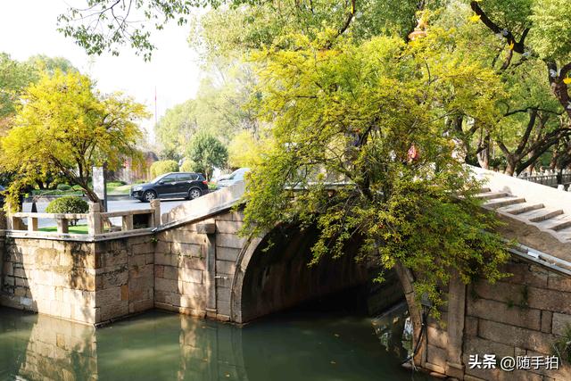 上海：120多年前从古桥石缝中“钻出”的石榴树如今硕果挂枝头