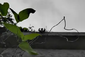 在四川喊你老辈子以前是尊重，现在可能是调侃讽刺，你猜为什么？图片