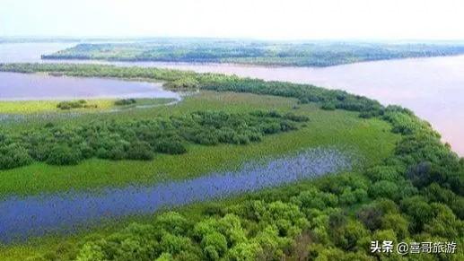 探秘三江腹地的生态明珠：同江八岔岛国家级自然保护区
