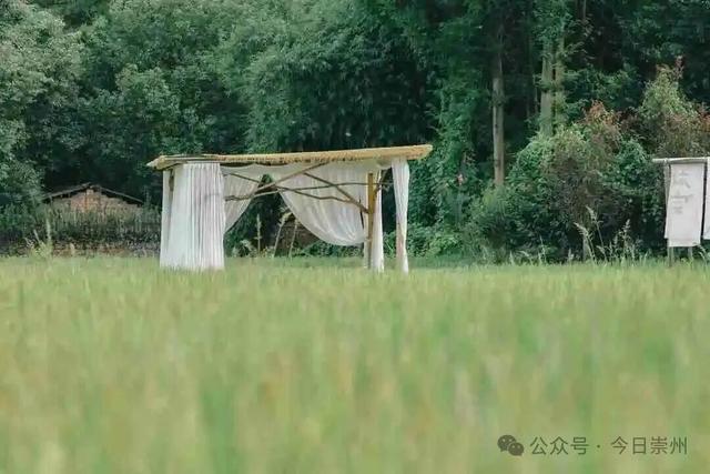 10月亮相！崇州新增一处度假地，邀你共赴诗和远方
