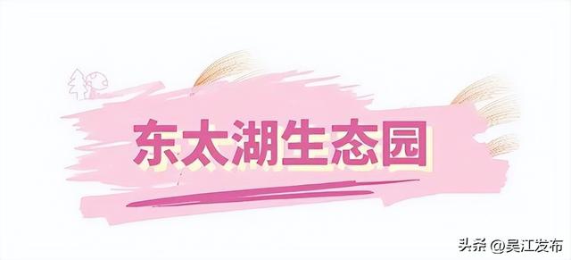 周末去打卡丨在吴江，赴一场粉色之约！