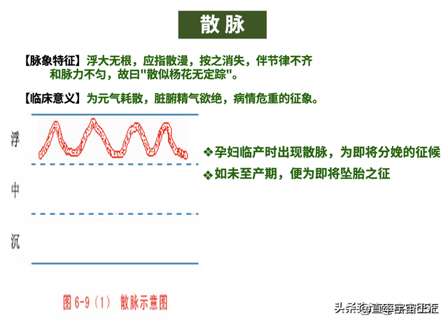 中诊入门：浮、散、革、芤脉，沉脉对比伏、牢脉，文末附《指法》