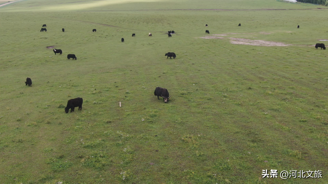 河北到底哪里美 | 畅玩河北坝上之承德围场篇