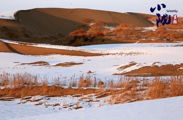 【小陇画报·468期】酒泉：金镶碧嵌的湿地画卷