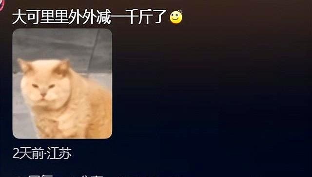 北京250斤女孩睡塌两张床，累积减1000斤，靠减肥自媒体年入100万