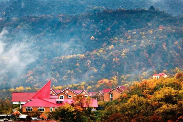 划得来！秋天来西岭雪山看彩林，门票直接免了！