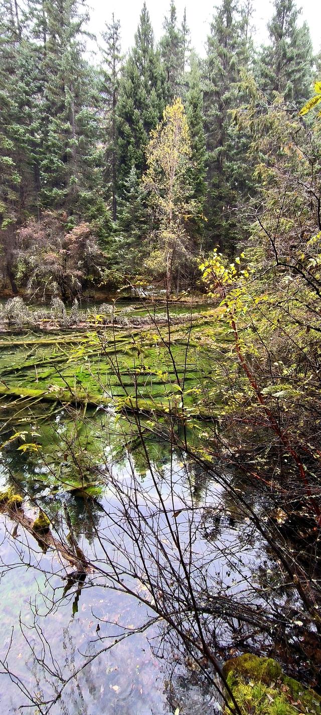 神仙池（一）竖幅