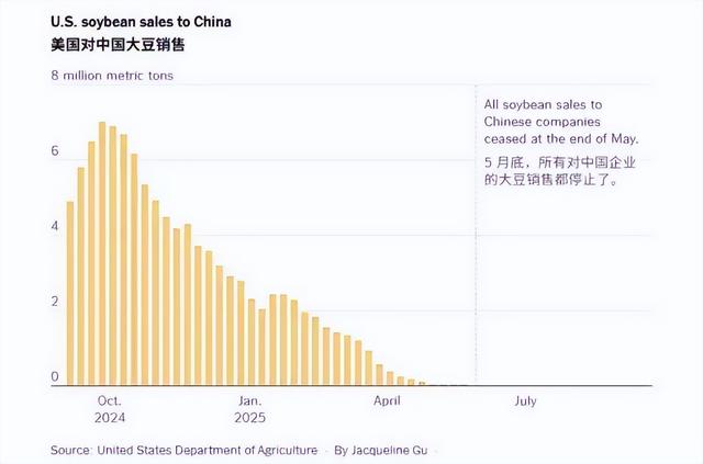 816吨大豆粮仓轰然倒塌，中国一颗没买，力挺川普的美国豆农哭了