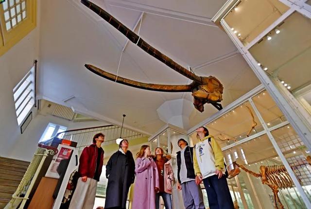 藏品20万+，这座博物馆“看宝”又“出片”！