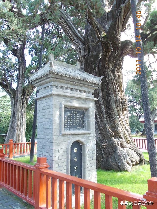 孔林关林松，揖向轩辕柏