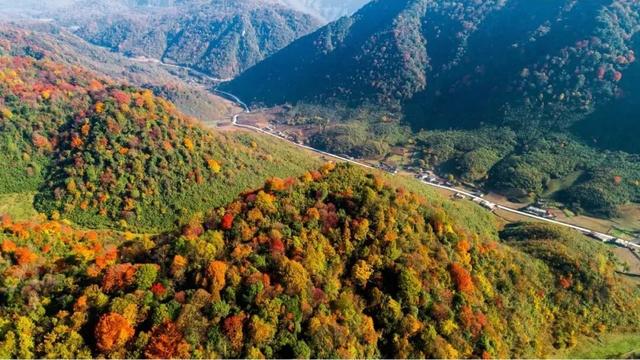 秋色浓度超标！汉中这座小城值得奔赴！