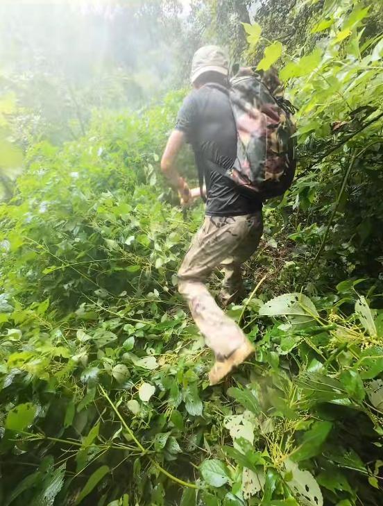 自闭儿走丢最新:3次搜山无果，救援队传来噩耗，夏令营黑幕曝光