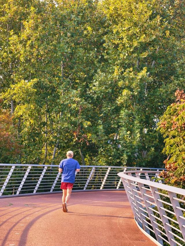 逛起来！8小时10个公园！