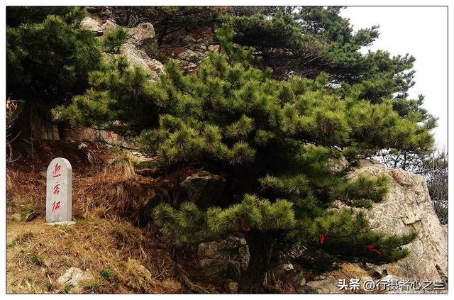 山东行游影记（25）—临沂蒙山（六）