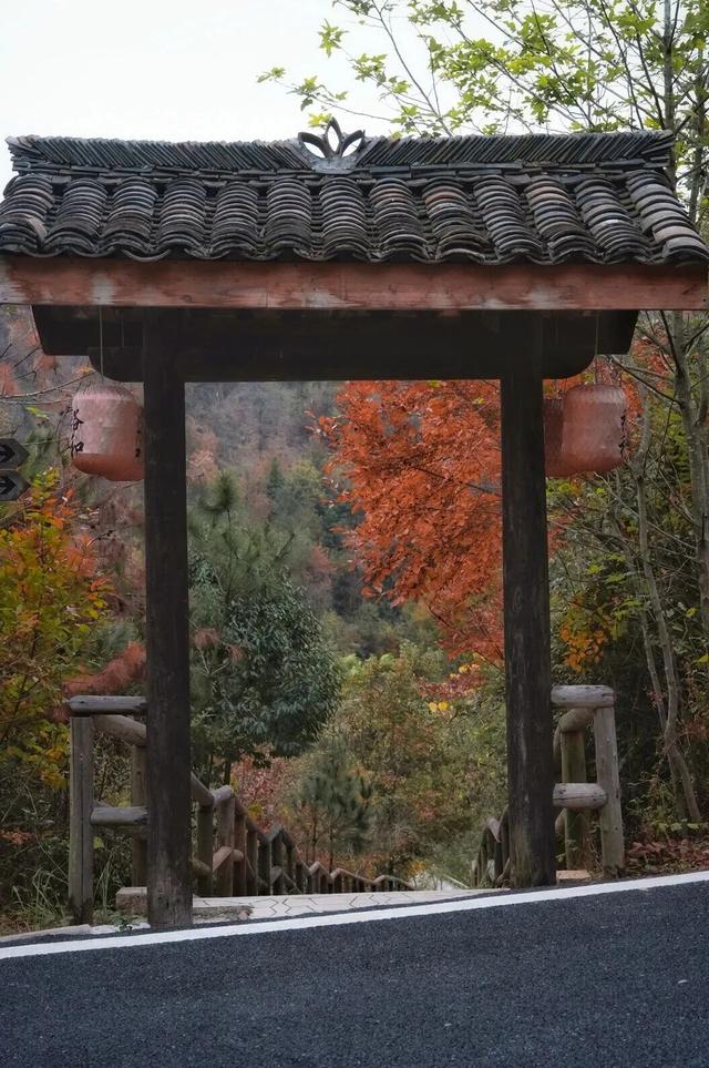 3000亩私属山野，冬天独享一座山！