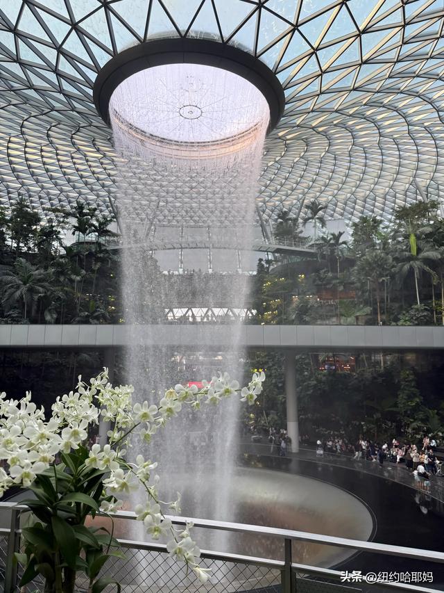 2025暑假 新加坡顺道游（二）