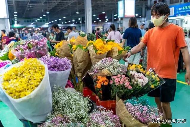 纯攻略！昆明5天3晚亲子游等你来：有动物有鲜花还有“海洋”……