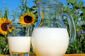 中医鬼才倪海厦：牛奶喝多加速肿瘤生长？水果吃多肠胃寒性更大？图片