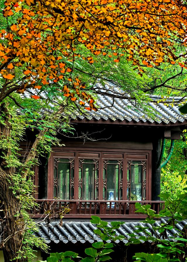 半烟火半诗意：潍坊园林的美，从不被定义