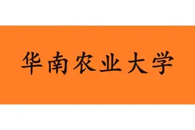 华南农业大学教师收入曝光，最高150万元图片