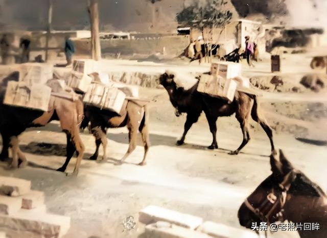 1938年，日军私人相册中的顺德（邢台）古城，鬼子在城墙上散步