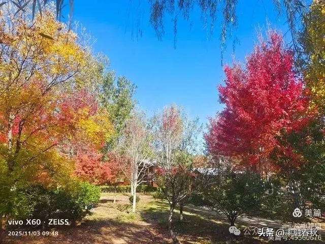 青岛即墨马山寻趣：一座地质公园的秋日私语｜申艳娟