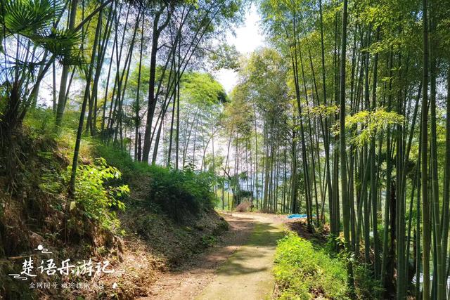 浙江宁波雷虎岩下的古村，犹如被遗忘的山中明珠，堪比世外桃源