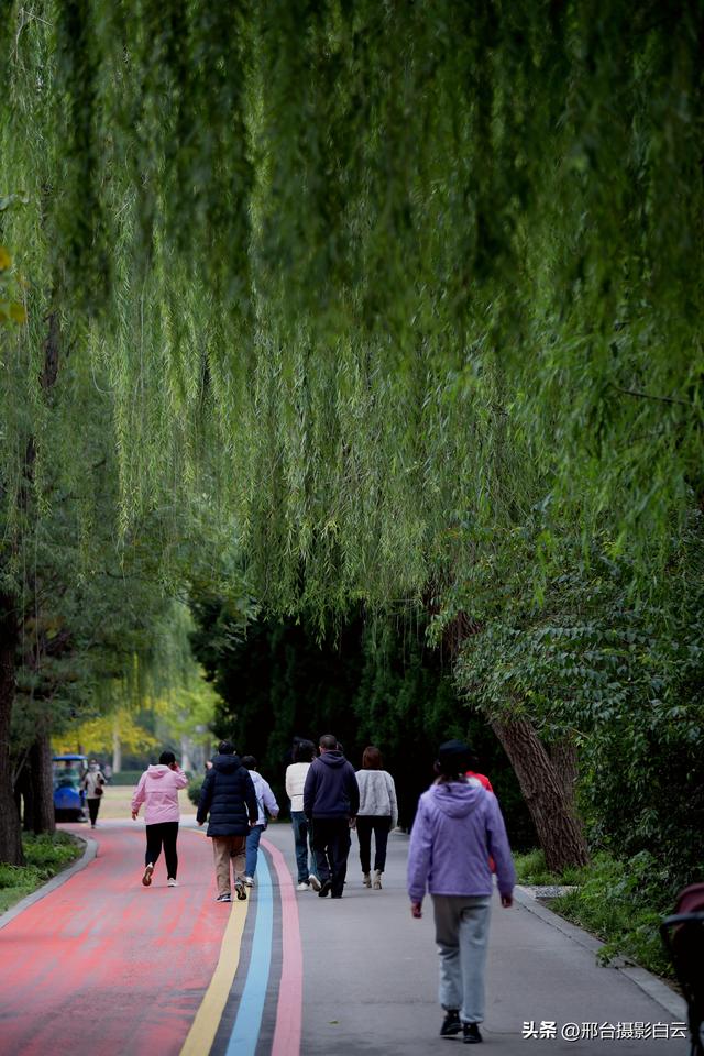 达活泉公园最美秋色（图）
