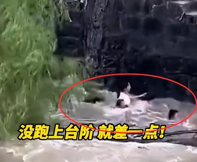4名游客卷入钱塘江！迅速被冲散，记者曝全过程，没一个值得同情