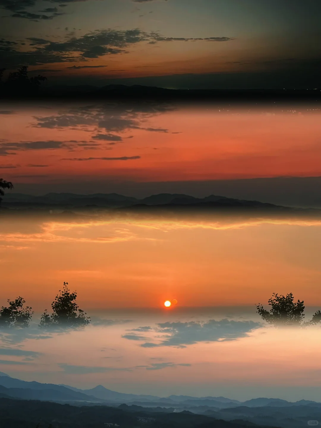 秋日限定！都江堰蒲虹路赏枫，0元小众无路人，快收藏！