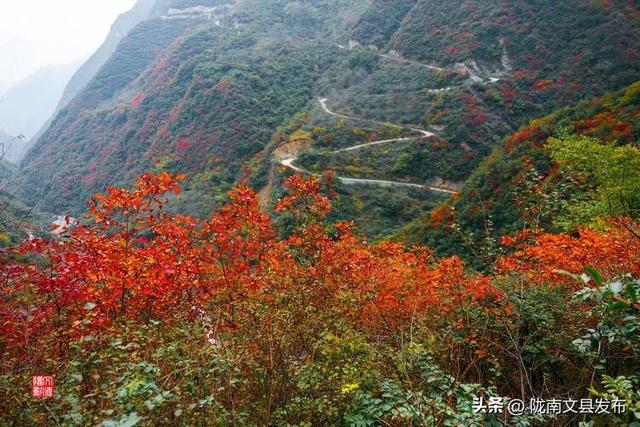 醉美文县：秋色斑斓大岭梁