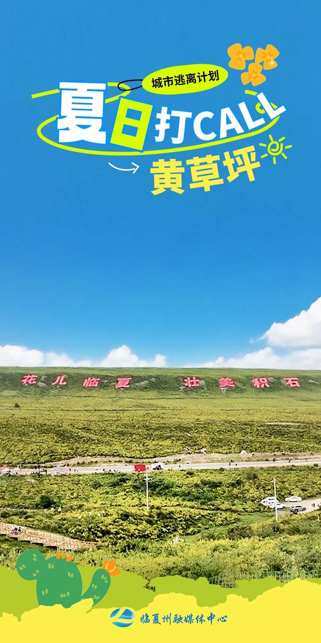 海报｜夏日，奔赴那片黄草坪