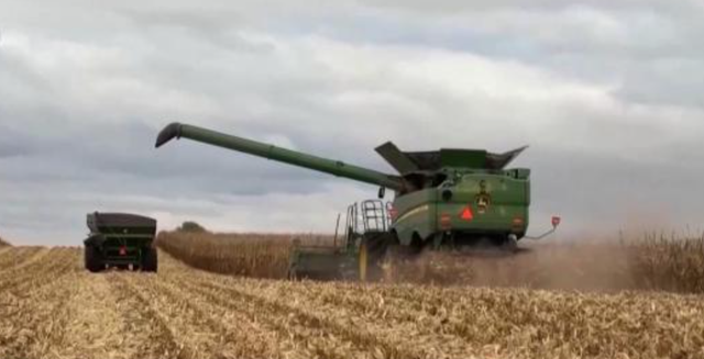 美国对华大豆出口断崖式下滑，孙玉良：美国农民呼唤中美关系稳定