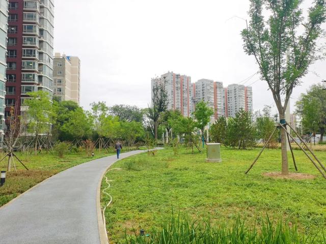 家门口添“绿肺”，丰台这个遗址公园对外开放！