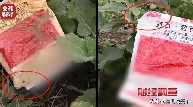 央视曝光毒红薯！商户主动投毒	，流窜至全国多地，背后利益链曝光