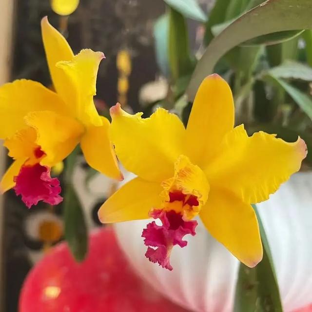 出门冻手冻耳朵！丰台室内去哪儿最温暖，戳——